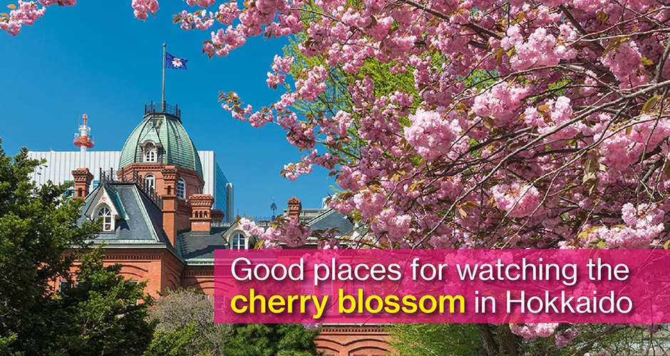 Good places for watching the cherry blossom in Hokkaido
